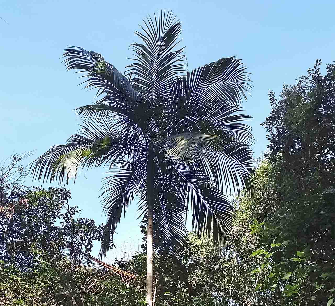 IMG_20230531_095106-a